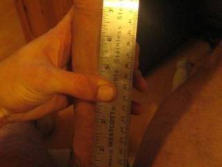 Cocks next to ruler pics 12