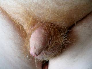 Small Soft Cocks - Come see the best soft cock amateur sex