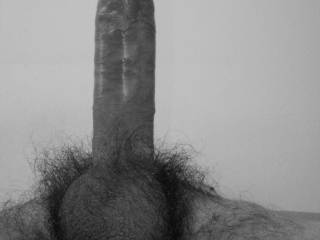 320px x 240px - Straight Dick, Big Balls, Hairy And... So Vintage In Black ...