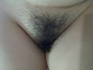 Real homemade hairy bush submitted porn photos and videos
