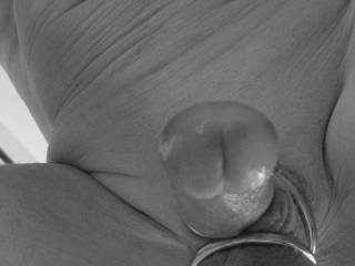 Cock head licking
